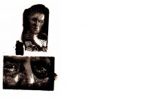 Family Affairs<br>1999 / Siebdruck / 65x100cm