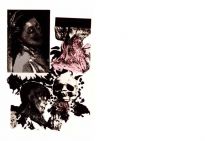 Anatomie<br>2000 / Siebdruck / 69x95cm