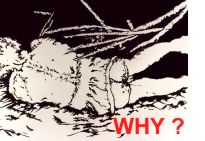 Fair<br>1997 / Siebdruck / 100x75cm